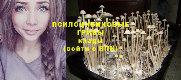 jwh Аркадак