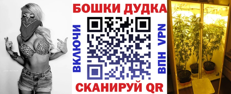 Канабис Ganja  где купить наркоту  Шацк 